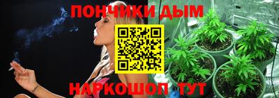 шишки Шебекино