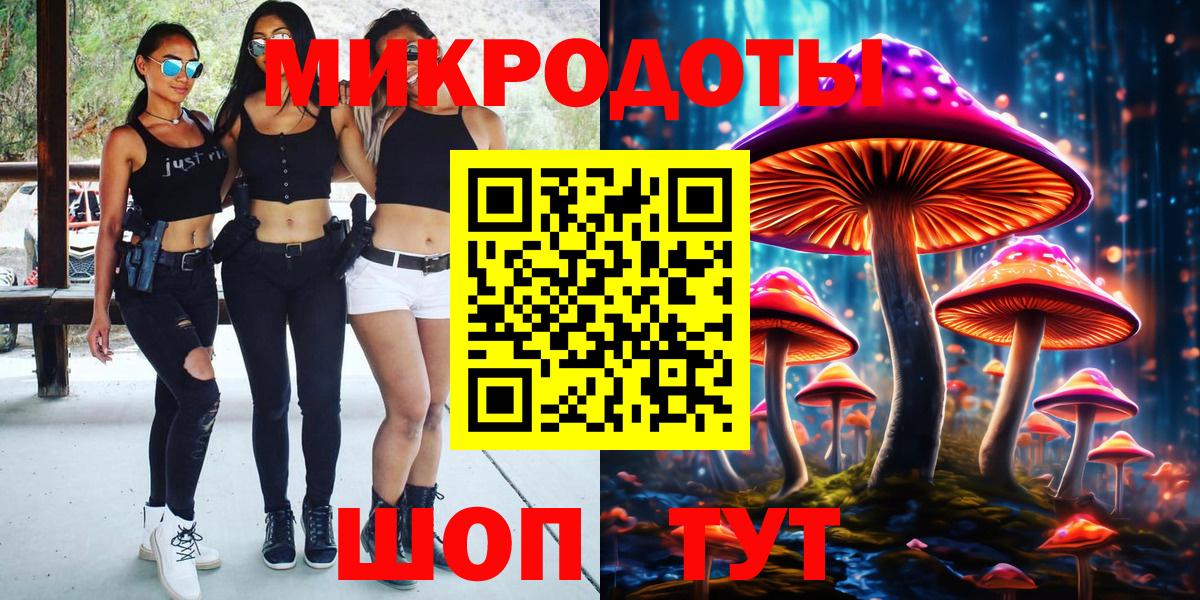 Галлюциногенные грибы Psilocybine cubensis Кимры